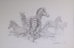 david shepherd, Zebra drawing, signed print