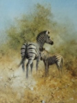 david shepherd, Zebra Mother and Foal, signed print